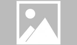 骆驼吃瓜免费图片,骆驼与瓜果的奇妙邂逅